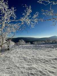哈爾濱-雪鄉帶孩子滑雪超詳細攻略不看後悔
