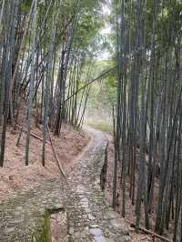 寧波九龍湖風景區旅遊指南