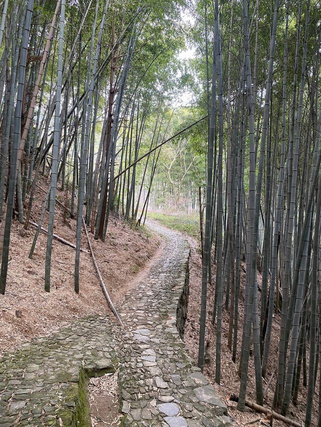 寧波九龍湖風景區旅遊指南