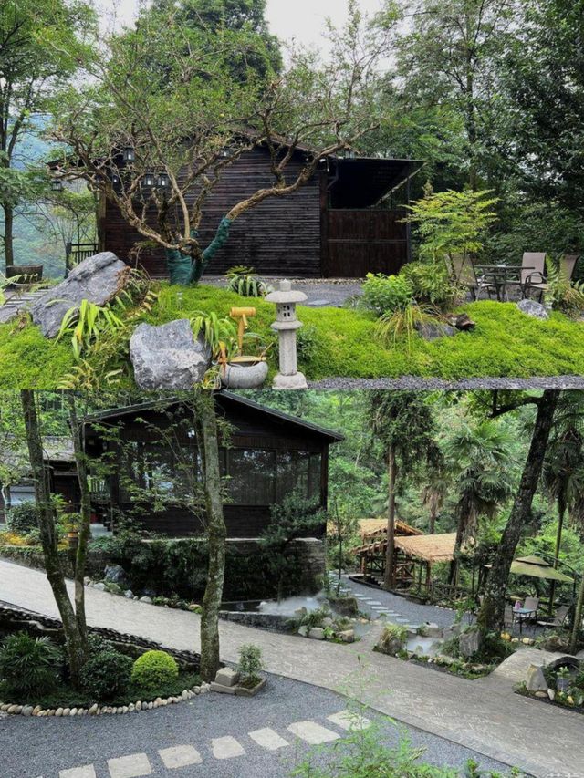 成都周邊 | 入住霧中山青嵐谷山中靜心
