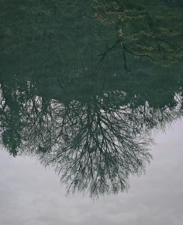 墨戎苗寨，如此美麗的地方，必須要再來一次