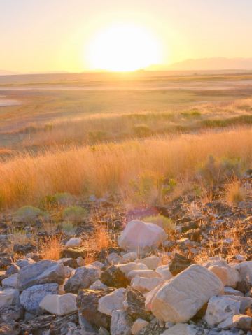 寒假美國5日遊 超詳細攻略來襲