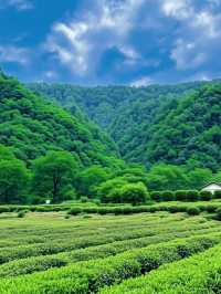 隴南四日｜江南遺夢，隴上春行