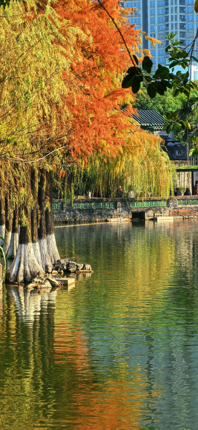 東莞可園博物館：嶺南園林的時光之旅攻略」。