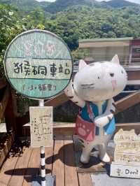 貓語猿聲：猴硐貓村的溫暖時光