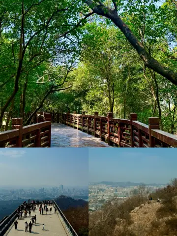 跟著國家地理小紅框，登上紫金山