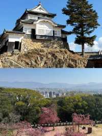 日本松山：溫泉與城堡的魅力之旅 