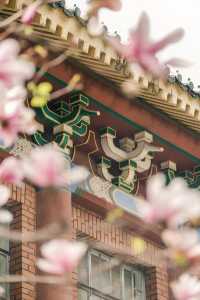 是紫玉蘭，不然我就錯過了這座民國圖書館
