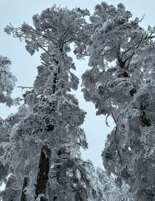 錦里古街和西嶺雪山，遊玩攻略在哪？