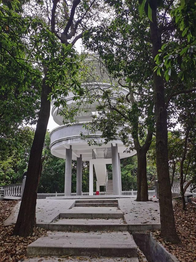 碼住增城嘅適合行山嘅森林公園