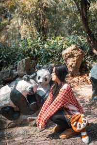 動物園遊記ᵕ̈終於看到軍軍和紅糖啦 附攻略