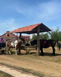 03女大白俄留學奇遇，探秘Сула莊園