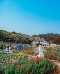 闖入春日花花世界！東莞香遇百花園全攻略