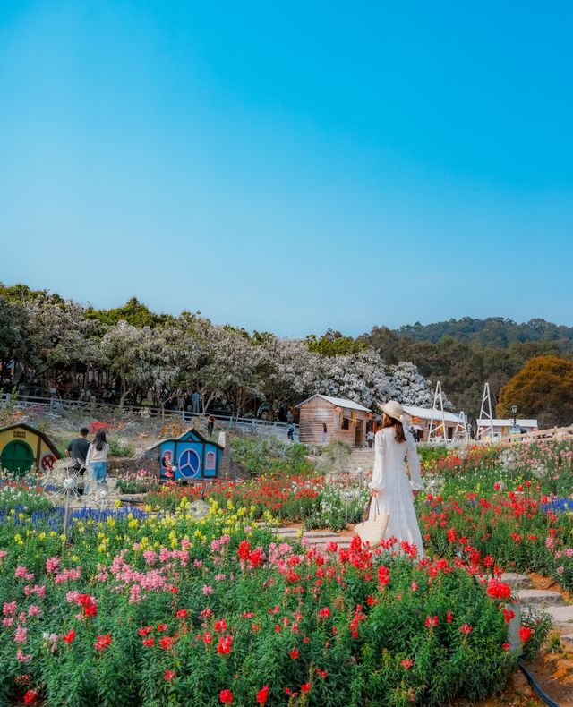 闖入春日花花世界！東莞香遇百花園全攻略