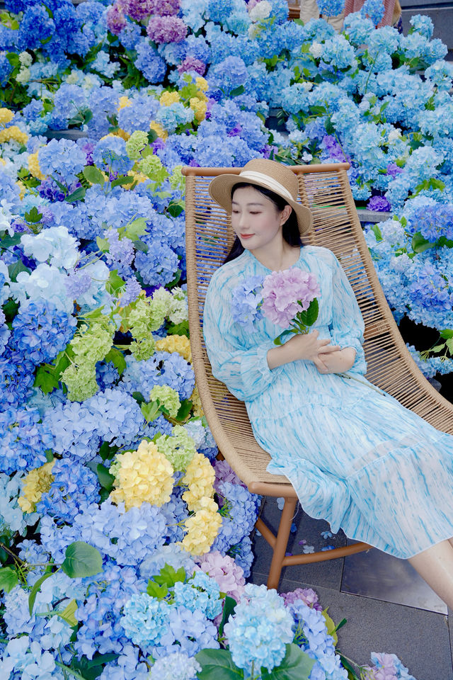 深圳誤入莫奈瀑布花海！春日限定浪漫！