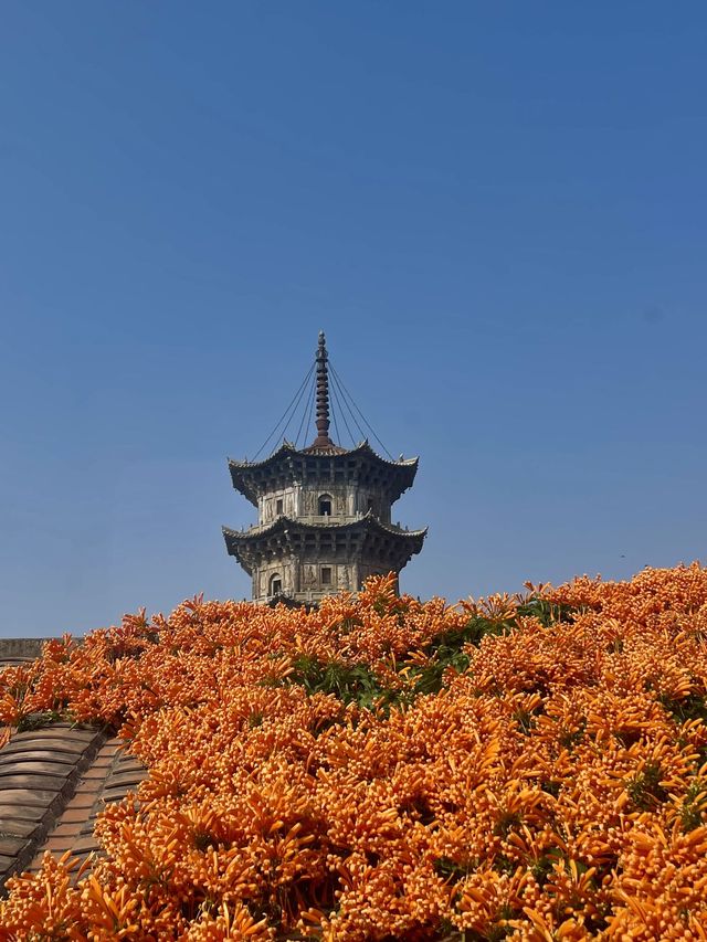福州-平潭-泉州老友遊玩指南必打卡路線建議