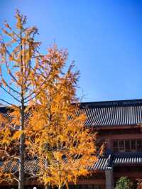 人間彌勒，知足常樂