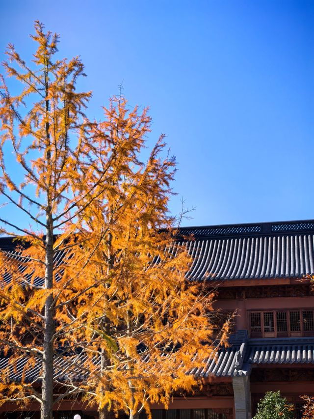 人間彌勒，知足常樂