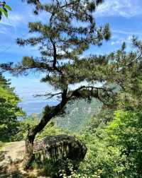 江西廬山三月免費僅剩17天！