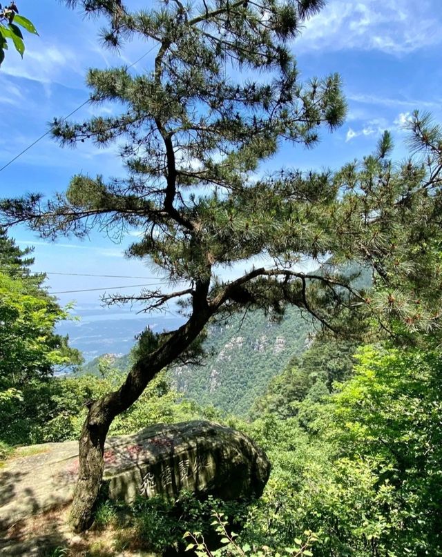江西廬山三月免費僅剩17天！