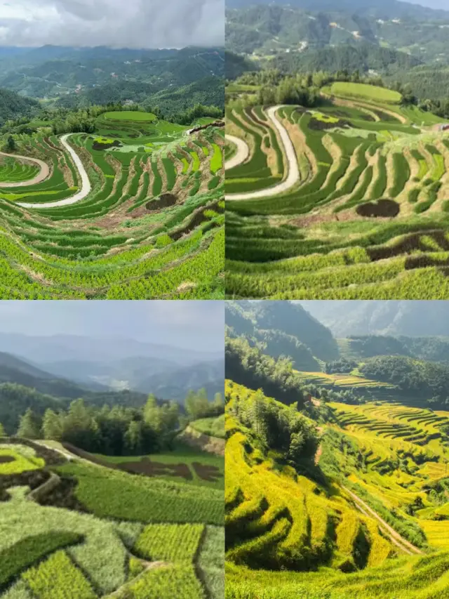 Lost in Wonderland | Suichuan Taoyuan Terraces: Speechless Beauty!