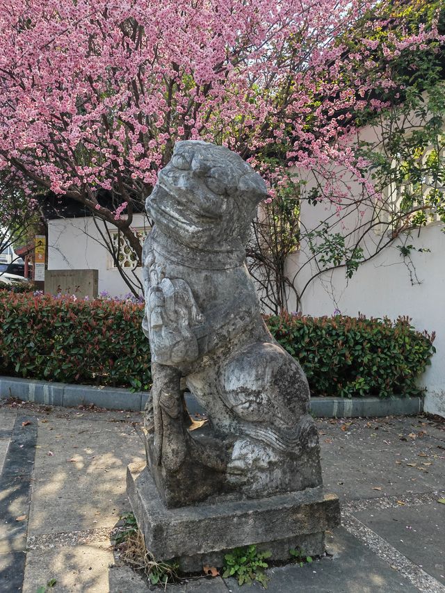蘇州～光福（遠足）