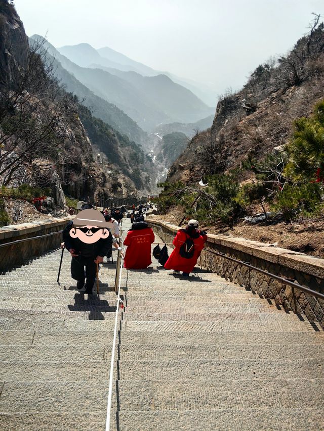 春天就要上春山 | 東嶽泰山~~省體力遊覽攻略