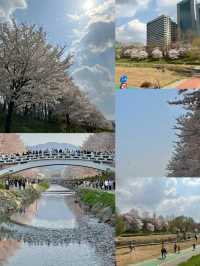 解鎖泗川，邂逅小眾韓國