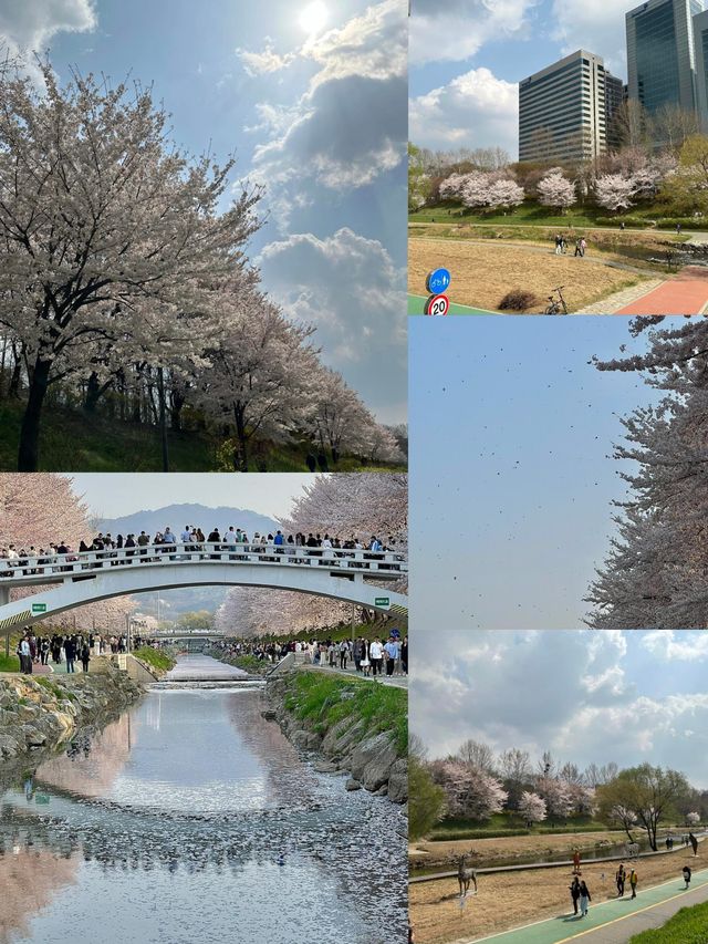 解鎖泗川，邂逅小眾韓國