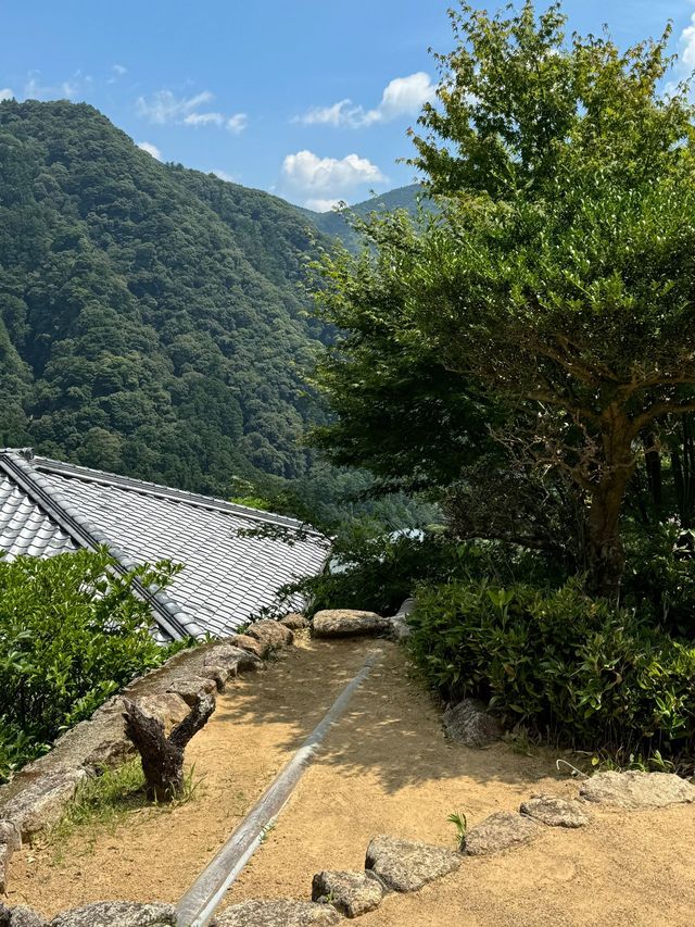 日本5日遊 清明假期出行正當時