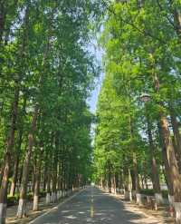 你會來潛江嗎