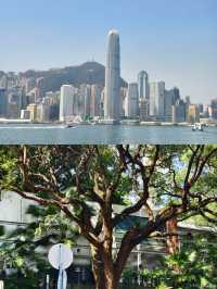 一座充滿活力的國際大都會