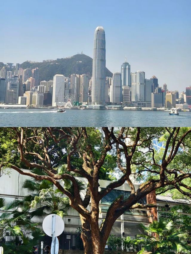 一座充滿活力的國際大都會