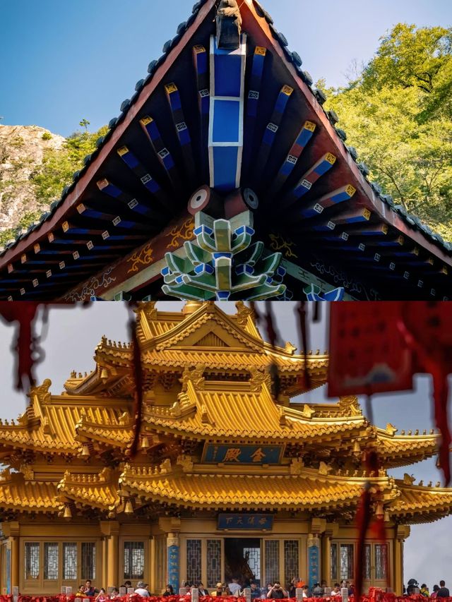 沒有人在意，卻非常努力！