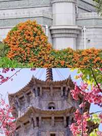 春日闖進泉州，邂逅半城煙火半城仙