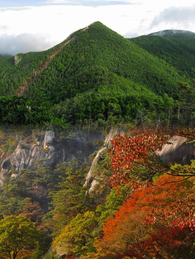 探索日本甲府市 | 歷史與現代交織的寶藏之地