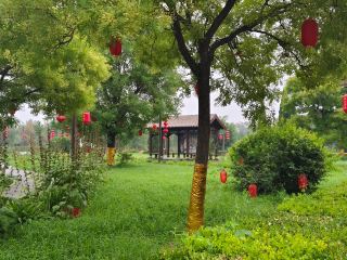 【Weishi Manor, Binzhou, Shandong】The Weishi Manor from Chronicles of Qin is actually here!