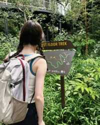 Discover Asia's First Rainforest Adventure Zoo in Singapore!