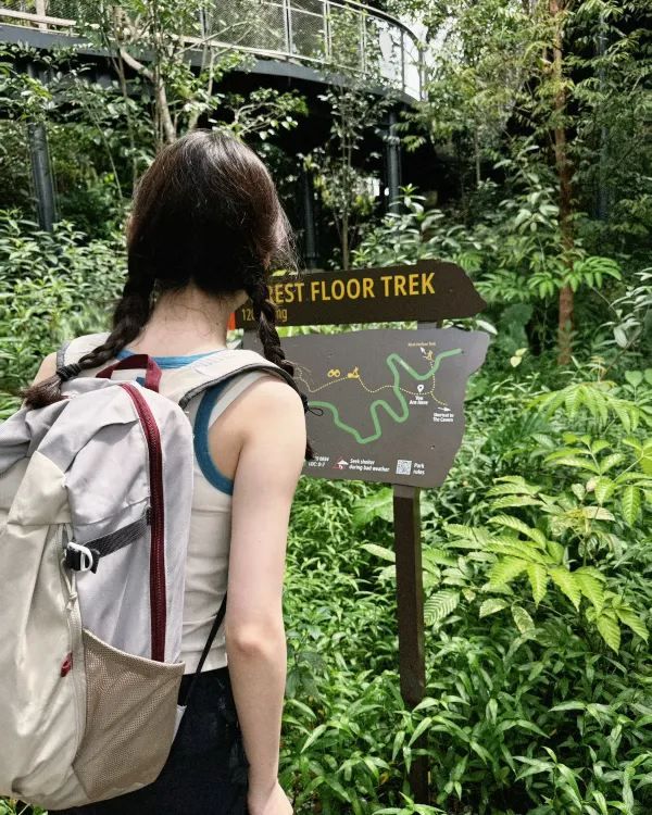 Discover Asia's First Rainforest Adventure Zoo in Singapore!