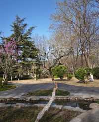 春天嘅格調就係咁靚～淄博人民公園打卡