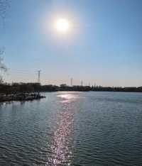 牟山濕地公園：大自然嘅詩意篇章