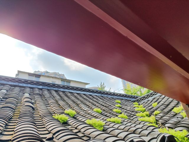 與閨密相聚東方美學酒店