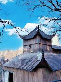 鄭州｜紫金山公園｜春日限定｜梅櫻共舞嘅浪漫奇遇