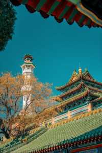 總要去一次鄭州吧