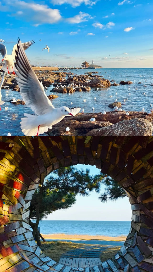 4個看海天堂，好看又出片，保證不踩雷攻略