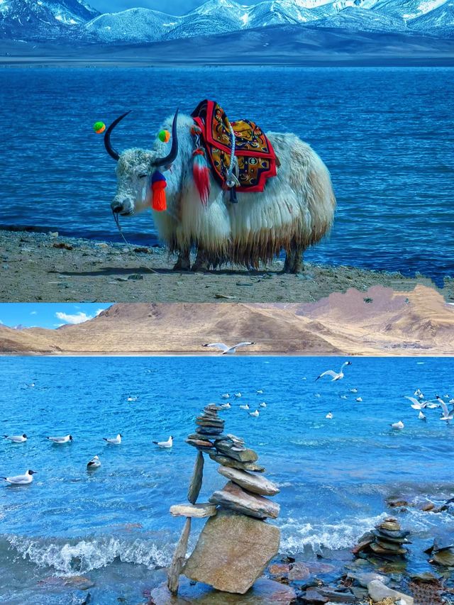 拉薩，一場觸及靈魂的饕餮之旅