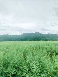 樸宿·所在（新安江），隱於鄉野，清新自然