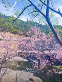 泰山隱藏玩法 | 本地人才知道的秘密打卡地
