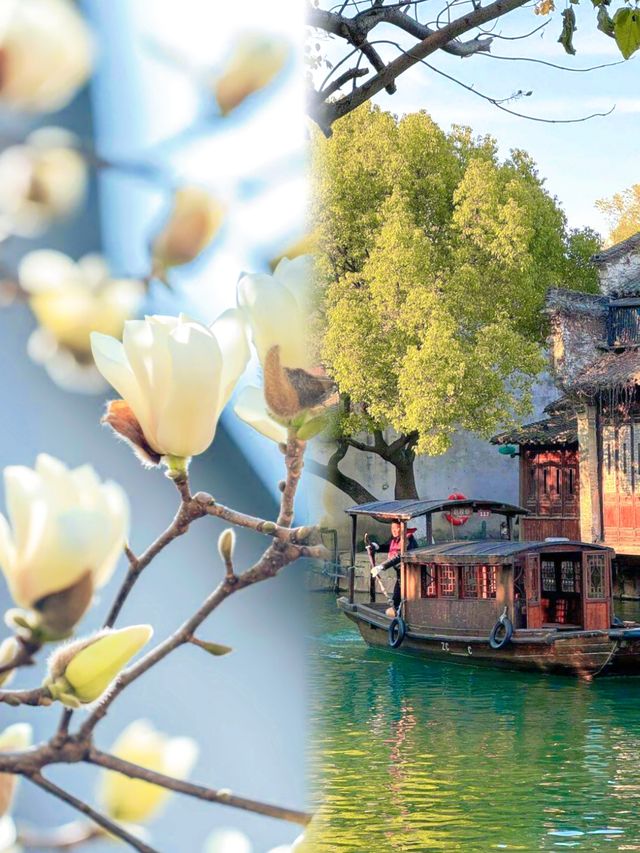 杭州烏鎮一場邂逅詩意與浪漫的江南水鄉旅行