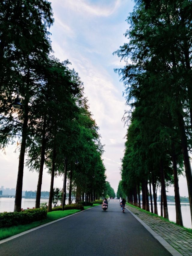 2025 年的五一武漢旅遊攻略